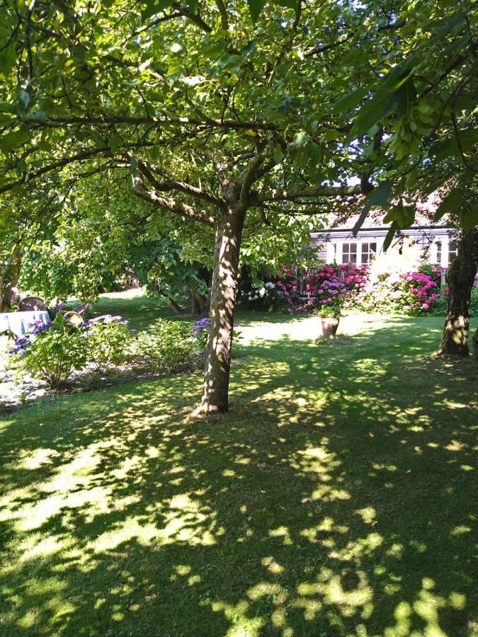 Ouddorp Vakantiehuisje Eksteriør bilde