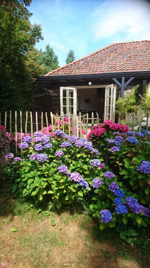 Ouddorp Vakantiehuisje Eksteriør bilde
